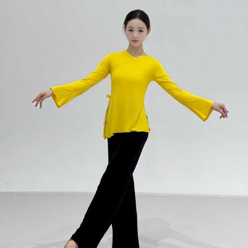 古典舞蹈服女中国现代舞喇叭袖舞服跳舞形体舞蹈演出服基训练功服