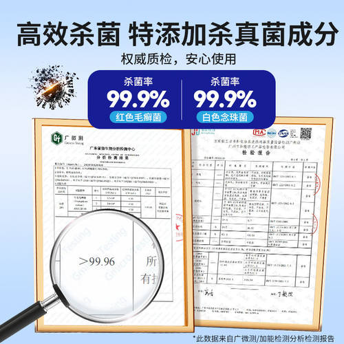 美鱼妈妈香袜子洁袜液洗袜子专用液杀菌白袜子清洗持久留香清洁剂