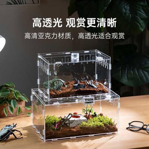 甲虫饲养盒透明亚克力爬虫饲养箱蜗牛小型昆虫独角仙幼虫套装盒子