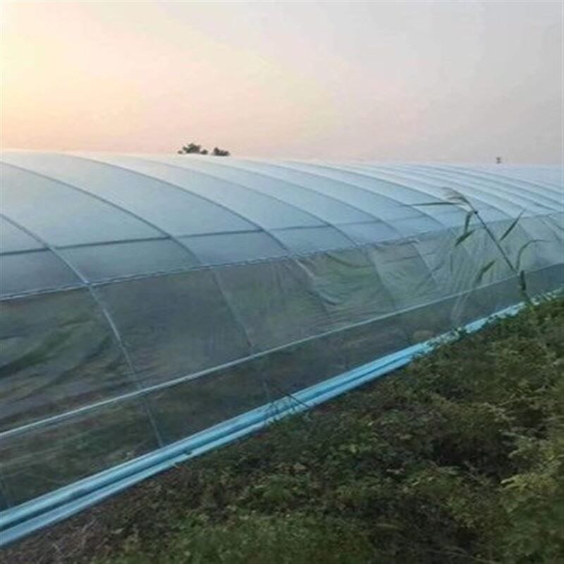 速发大棚薄膜 养殖黑膜无 蓝色膜滴膜抗老化膜蔬菜白塑料薄膜塑