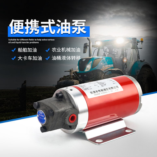 速发便携式直流12V电轮抽油泵低噪音压液润滑泵三角摆线泵 三角齿