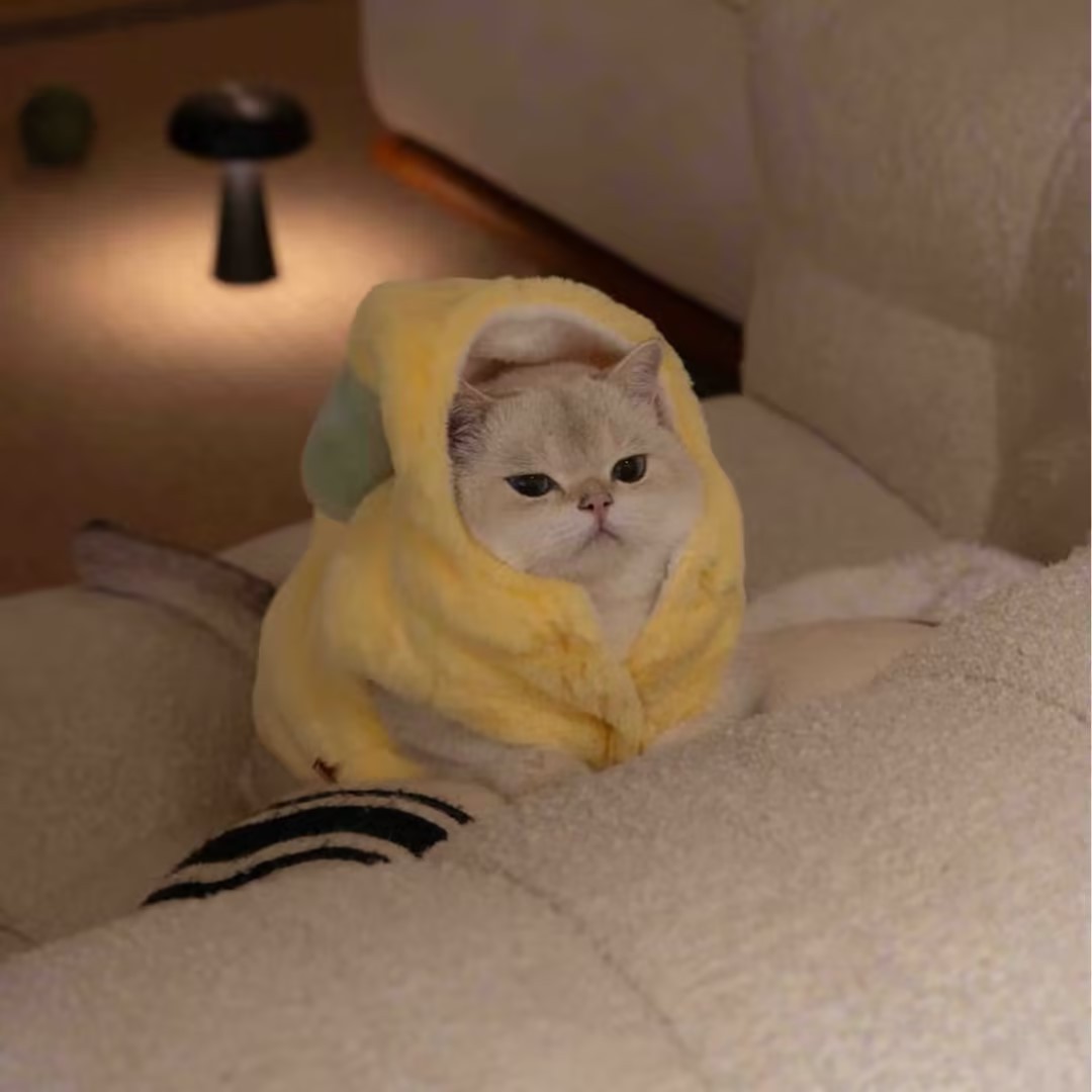 猫咪衣服秋冬可爱搞怪香蕉装加绒
