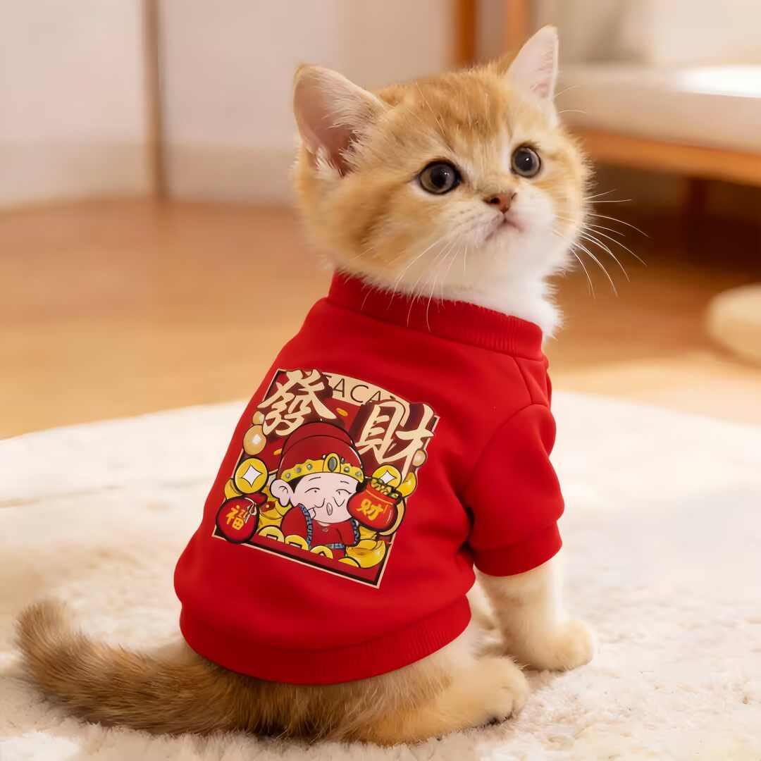 小猫咪衣服春秋季新年财神卫衣