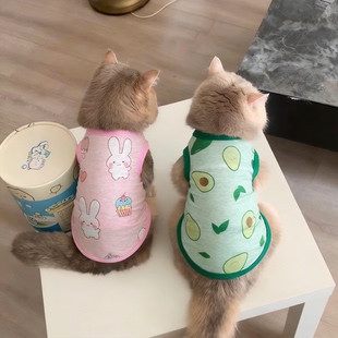 猫咪衣服春夏季 防掉毛清凉透气背心蓝猫布偶幼猫小型犬狗狗 薄款