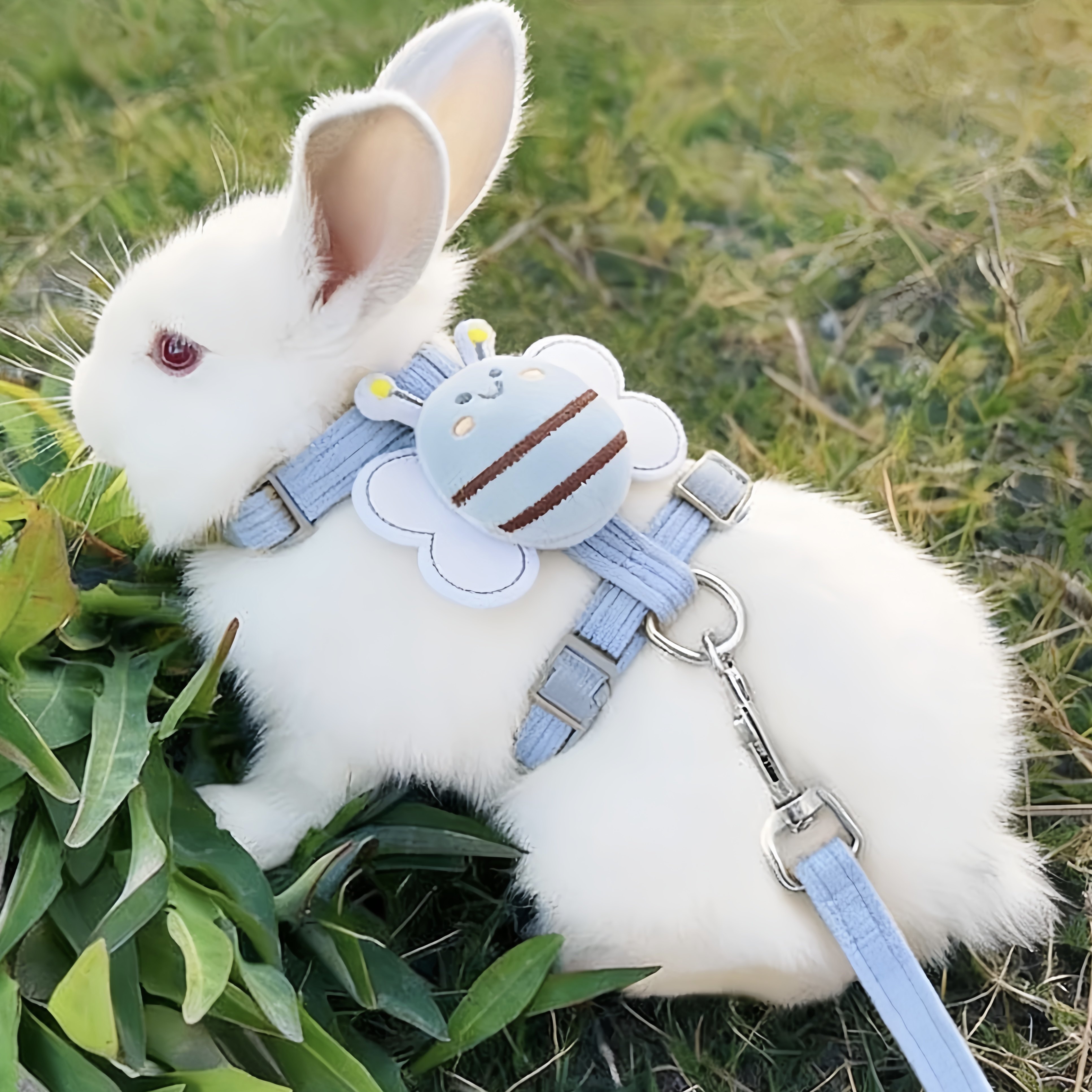 兔子牵引绳遛兔专用品防挣脱小白侏儒兔衣服宠物溜兔兔外出绳链子,宠物/宠物食品及用品,猫牵引绳,淘宝优惠券,粉丝福利购,淘宝优惠卷