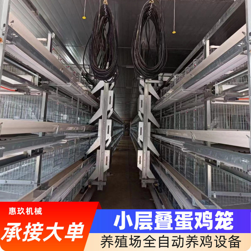 养殖场立式鸡笼小层叠鸡笼子自动捡蛋集蛋鸡笼设备全自动蛋鸡笼