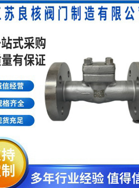 H41Y-10RL止回阀 不锈钢法兰高温高压止回阀 法兰卧旋启式单向阀