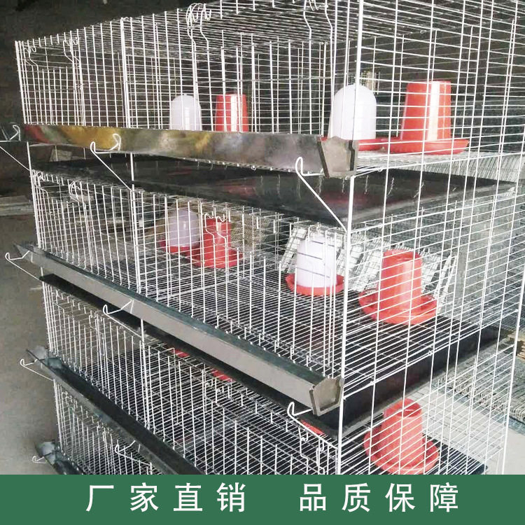 鸡笼养殖笼四层立体式小鸡笼 鸡笼设备养殖鸡笼批发家禽养殖设备