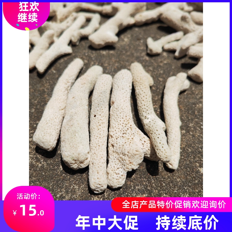优选大珊瑚骨滤材优质天然珊瑚石鱼缸过滤材料水族箱底砂净水造景