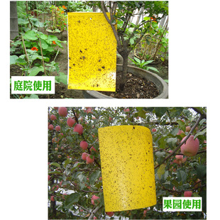 防虫板双面黄板蓝板物理杀虫家庭阳台室内蚜虫粉虱蝇蓟马粘虫诱虫