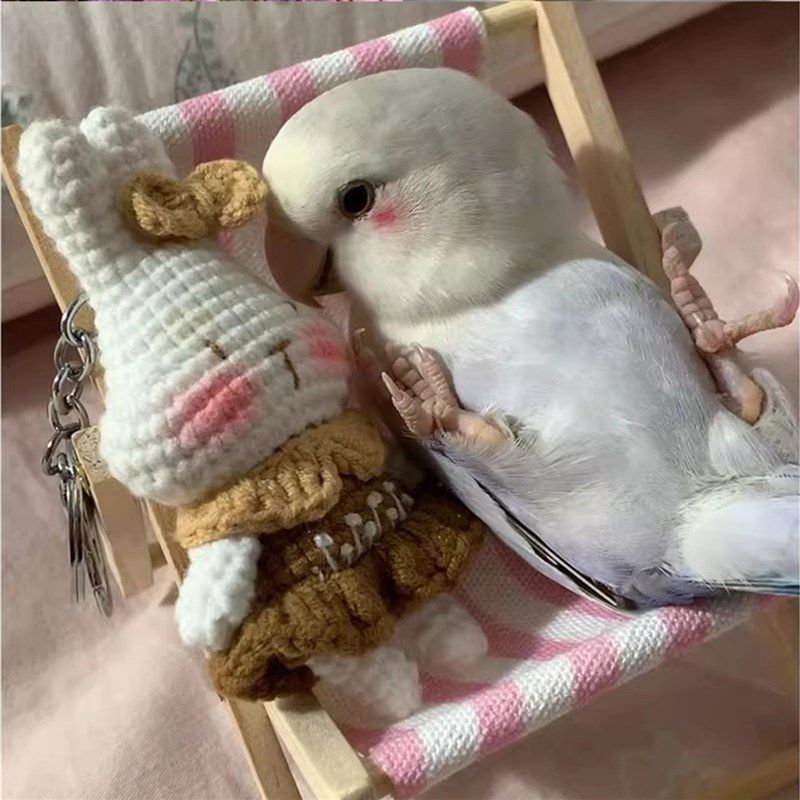 鹦鹉躺椅沙滩玄凤小太阳小鸟解闷自嗨玩具虎皮牡丹新型逗鸟神器,宠物/宠物食品及用品,鸟玩具,淘宝优惠券,粉丝福利购,淘宝优惠卷