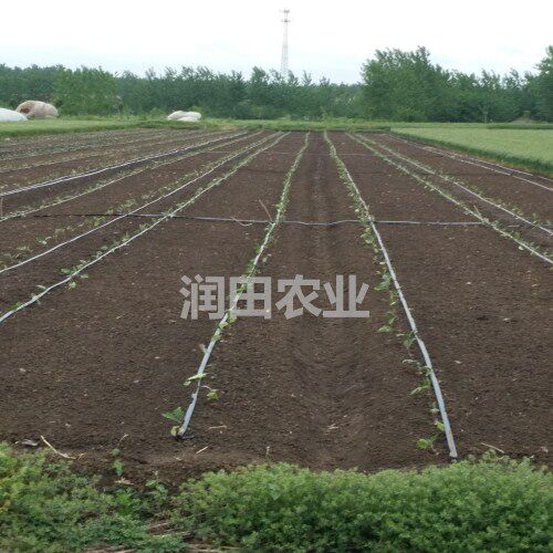 1.5寸5孔 7孔喷灌带 微喷带农用灌溉带软管节水灌溉滴灌带 喷水带