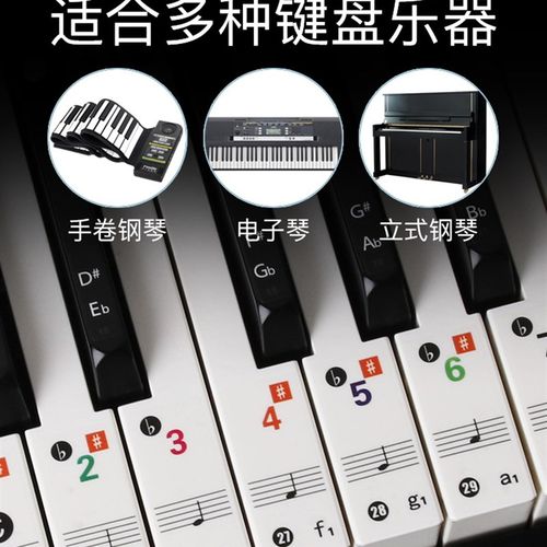 88/61/54键通用电子琴手卷钢琴琴贴钢琴键盘贴纸五线谱简谱键位贴