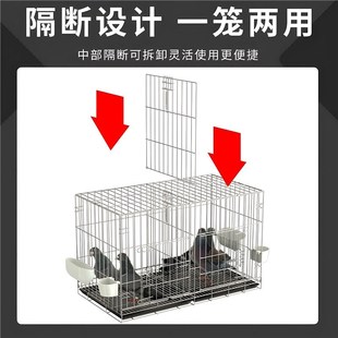 新型鸽子笼养鸽子专用养殖笼配对笼子大号繁殖白鸽笼加粗折叠家用