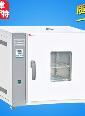 天津泰斯特 101-0DB 电热恒温鼓风干燥箱 实验室烘箱