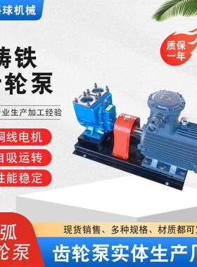齿轮泵YCB圆弧齿轮泵油泵不锈钢齿轮泵圆弧齿轮泵抽油泵