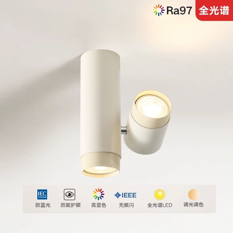 北欧明装筒灯走廊灯过道灯阳台灯家用led天花灯双头可旋转射灯