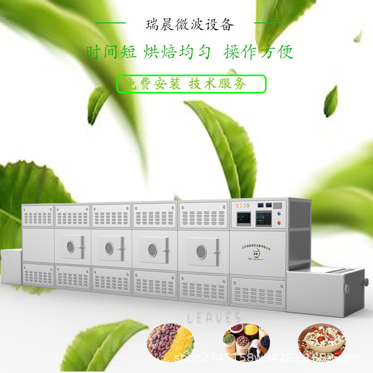 瑞晨杏鲍菇微波烘干机生产厂家