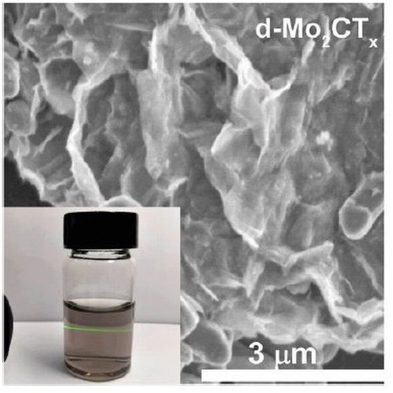 200-500目 MXene手风琴状多层碳化钼 Mo2CTx 1g