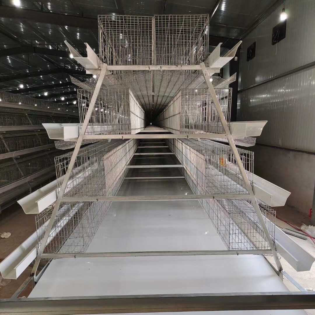 大小全自助阶梯式蛋鸡笼养鸡设备蛋鸡笼自动清粪喂料外贸可采购