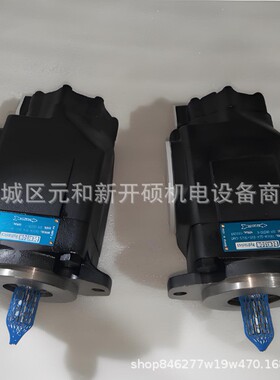 DENISON丹尼逊T6ED-085/072/066-050/045/042/038-2R00/1R01/3R02