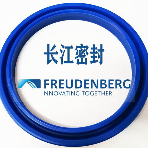 德国进口CFW/Merkel油封