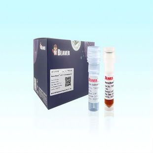 深孔板，96方孔，V底，2.2 mL，配套KingFisher Flex 96