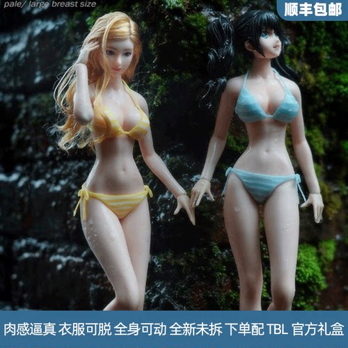 TBL1/6女素体钢骨包胶超可动