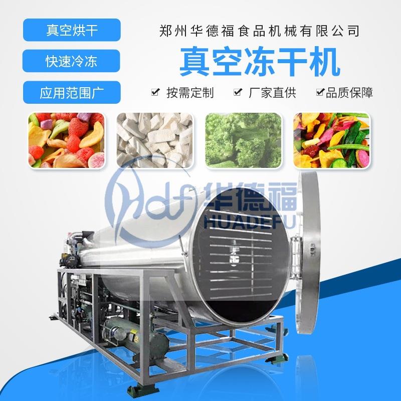 果蔬食品肉制品真空脱水智能控制冻干机榴莲脱水干燥机源头工厂