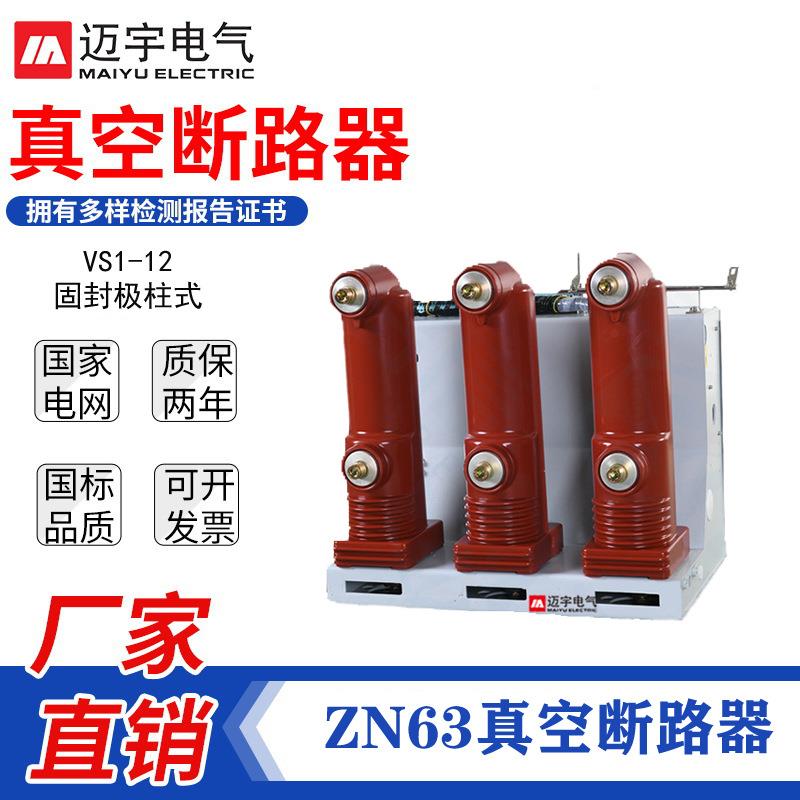 ZN63开关V11-120/63S户内真空断路器VS固封极VS1-12/1柱高压断路