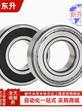 BAY6000ZZ/6001ZZ/6002ZZ/6002/6003/6004/6005/6006ZZ深沟球轴承