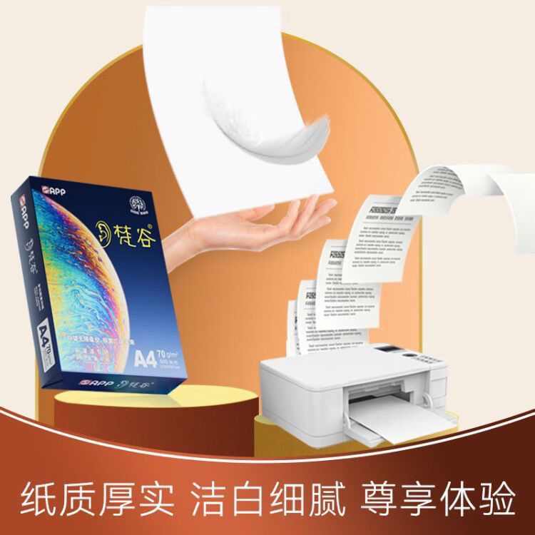 金光app梵谷A4双面打印纸复印纸70克80克一包500张整箱2500张 - 实物图