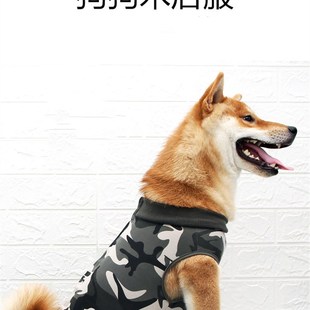 公母狗狗绝育服术後护理断奶皮肤G用药透气防舔防抓柯基金毛