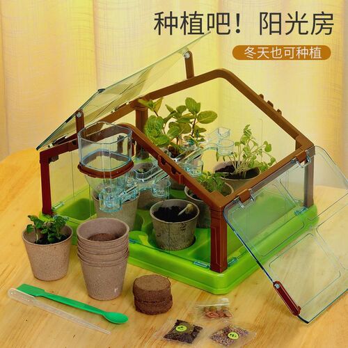 科答鸭种植吧阳光房儿童植物观察窗迷你小盆栽小学生科学实验套装