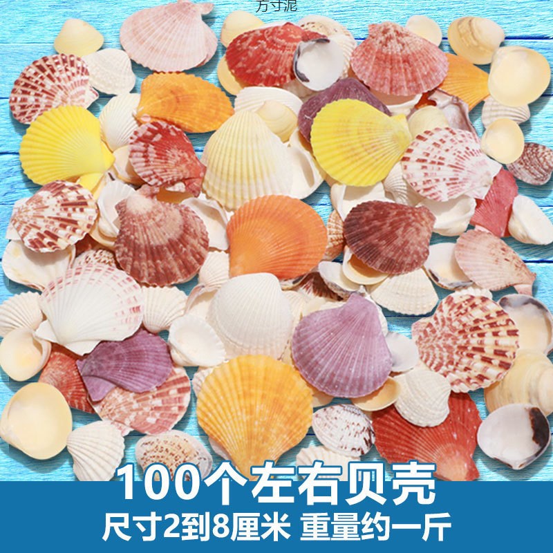 现货速发海螺贝壳海星鱼缸造景装饰品寄居蟹儿童风铃漂流瓶水族箱