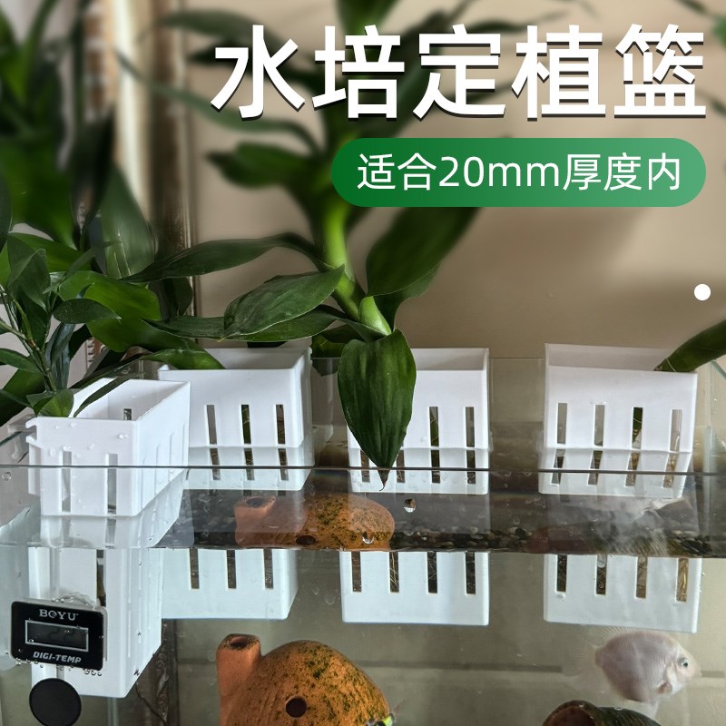 速发水培固定篮鱼缸水草定植篮挂壁式种植杯装缸植物造景龟饰固定