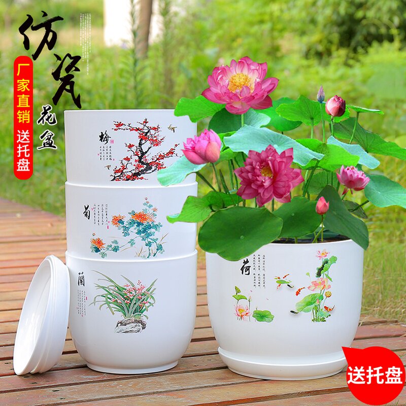 速发花瓷塑料简约特大号兰仿花萝花卉碗莲睡莲绿盆荷花无孔水培小