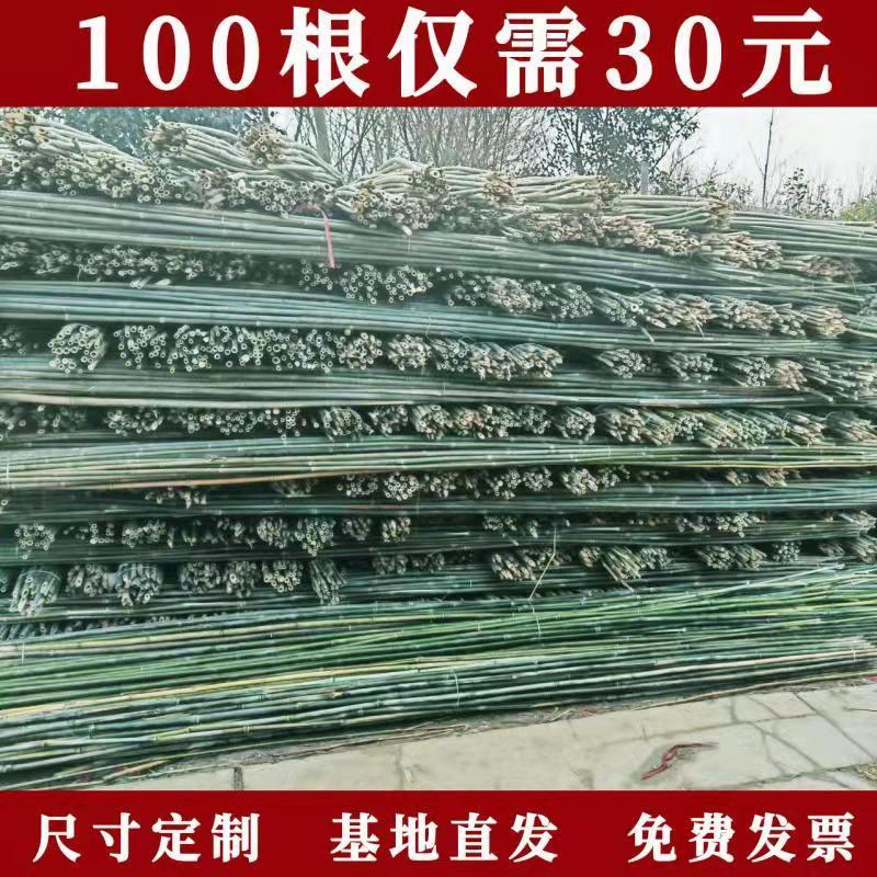 速发竹竿菜园搭架竹子 户外棋篱杆支围栏 黄瓜豆角爬藤菜架竹杆笆