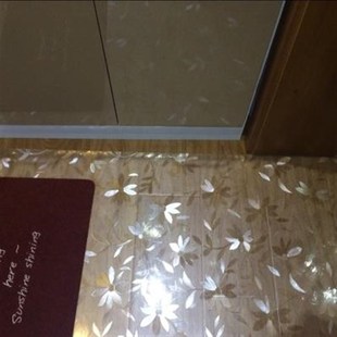 工厂200*300透m明地垫pvc门垫塑料地毯木地板保护垫膜进门客厅家