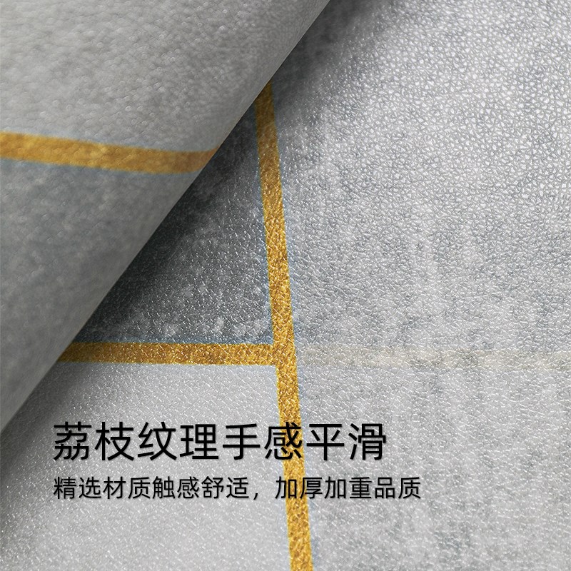 地垫入户门垫2025新款进门门口脚垫家用PVCO免洗可擦垫子防滑地毯