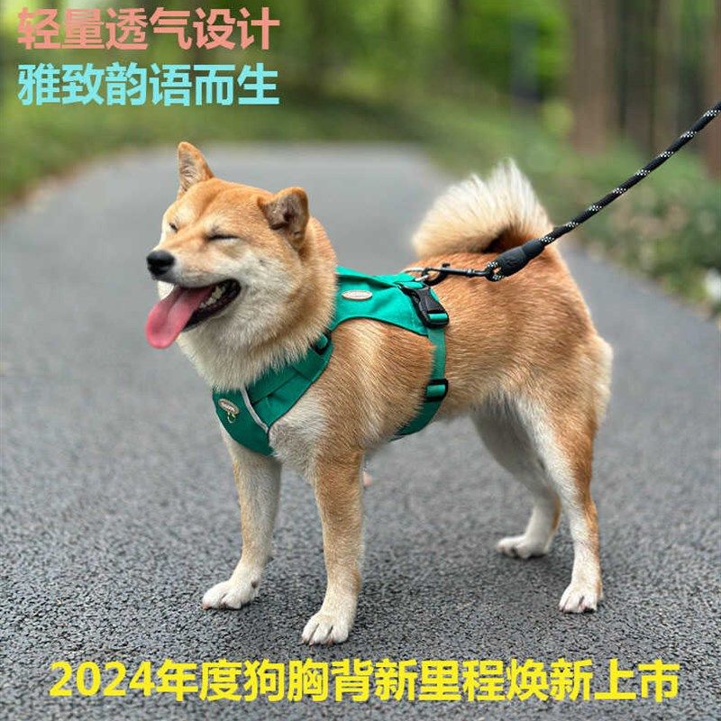 狗狗牵引绳背心式轻n量化中小型犬柴犬柯基金毛遛狗绳可调节胸背,宠物/宠物食品及用品,狗牵引绳,淘宝优惠券,粉丝福利购,淘宝优惠卷