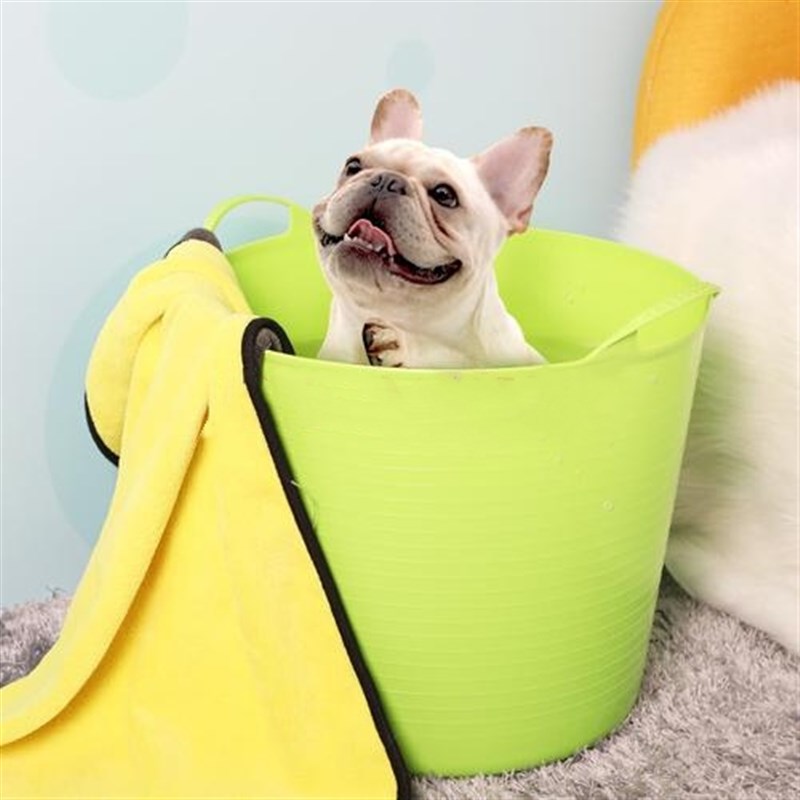 狗狗药浴桶中大宠物洗澡盆猫咪y宠物浴缸大号专用药沐浴盆狗泡澡