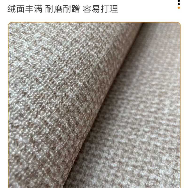 纯色入户门地垫轻奢高级客厅卧室B地毯门垫进门大门口玄关脚垫耐