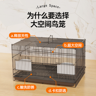 鸟笼鹦鹉笼子家用专用加大号鸽子笼鸟笼子玄O凤牡丹笼鹌鹑笼子大