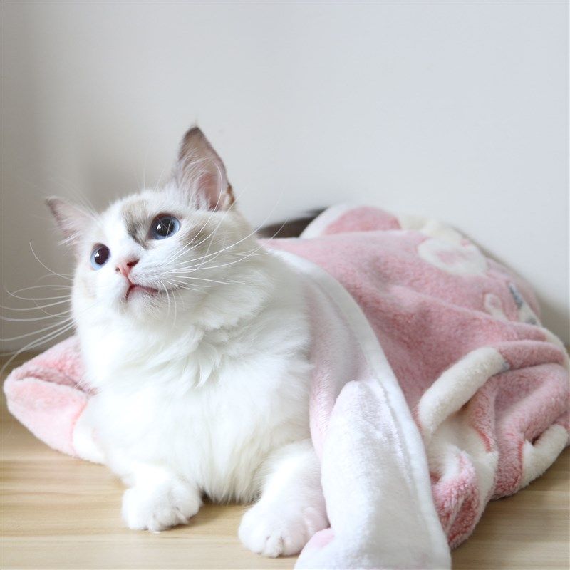 日系宠物四季毛毯猫咪珊瑚绒毯子狗F狗睡觉小毯子狗垫办公室空调,宠物/宠物食品及用品,猫狗垫子,淘宝优惠券,粉丝福利购,淘宝优惠卷