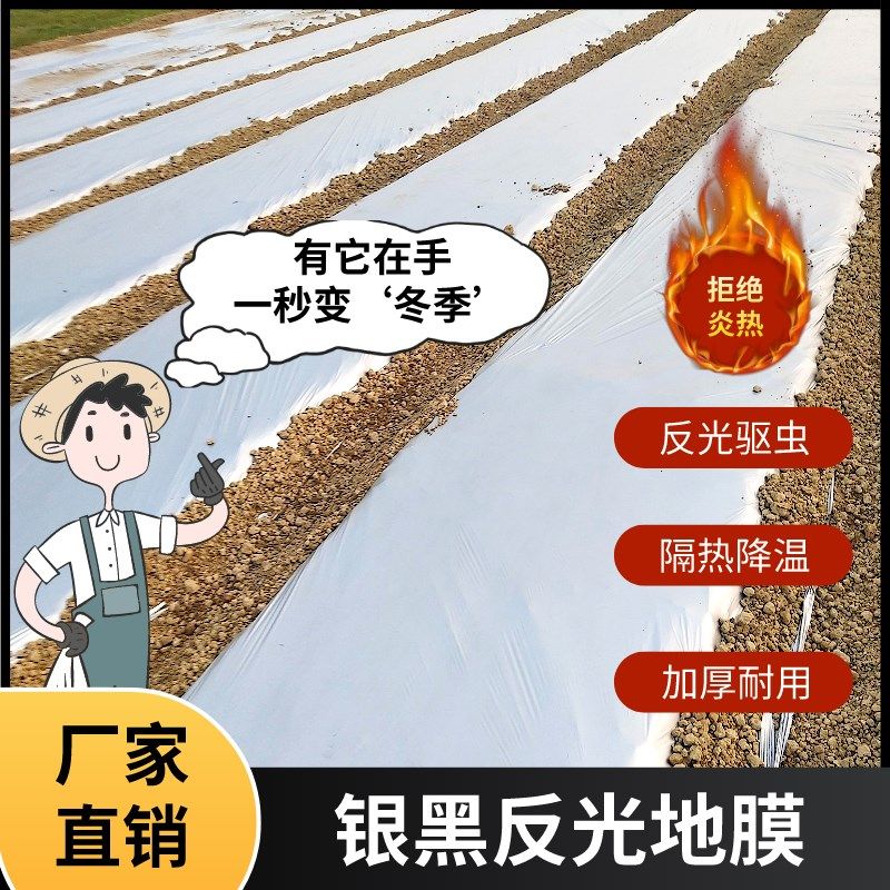 银黑双色地膜反光地膜农用种植加厚塑料薄L膜草莓蔬菜黑色地膜保