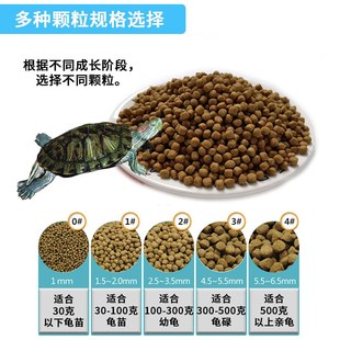 統(tǒng)一龜糧石金錢(qián)龜飼料烏龜x膨化飼料龜糧黃緣草龜通用高蛋白