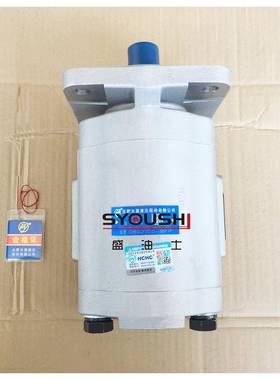 合肥长源齿轮泵CBG2100-BLP/BLPL/BLH/BLHL/BFP/BFPL/BFH/BFHL