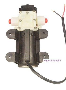 普兰迪2201家用自吸增压泵24V水泵大型卡车轮胎制动洒水车冷却