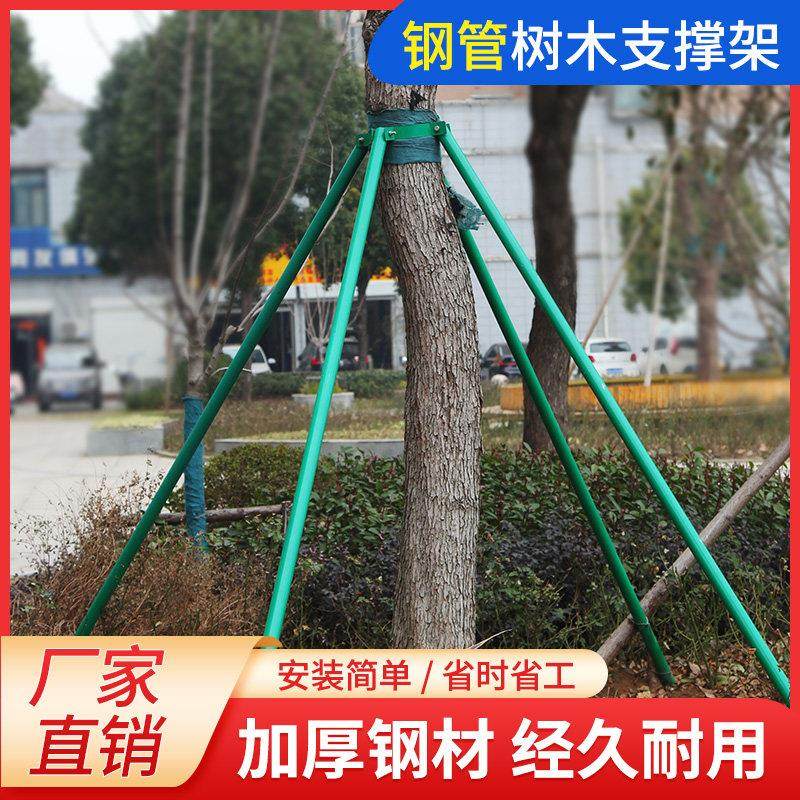 镀锌钢管树木支撑架绿化支伸缩杆大树防风树支撑园林绿化支架固定